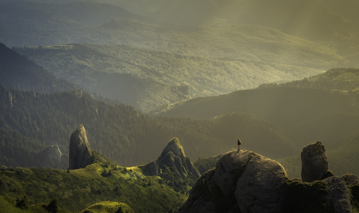 Eco Coffins & Sustainable Funerals: A Complete UK Guide (2026)