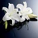 I W Myers Funeral Directors