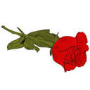 G Collins and Sons logo